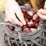 raccogliere-castagne-con-i-bambini